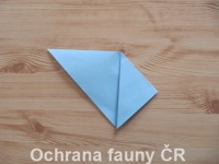 Origami Koala - otevt foto