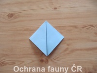 Origami Koala - otevt foto