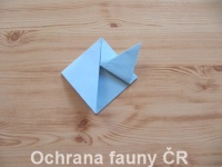 Origami Koala - otevt foto