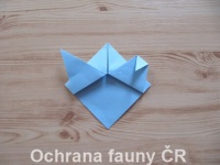 Origami Koala - otevt foto