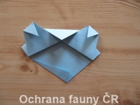 Origami Koala - otevt foto