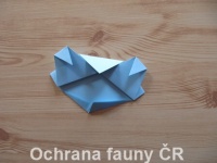 Origami Koala - otevt foto