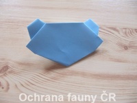 Origami Koala - otevt foto