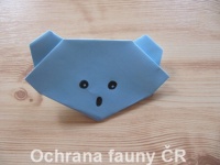 Origami Koala - otevt foto