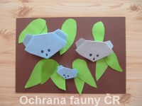 Origami Koala - otevt foto